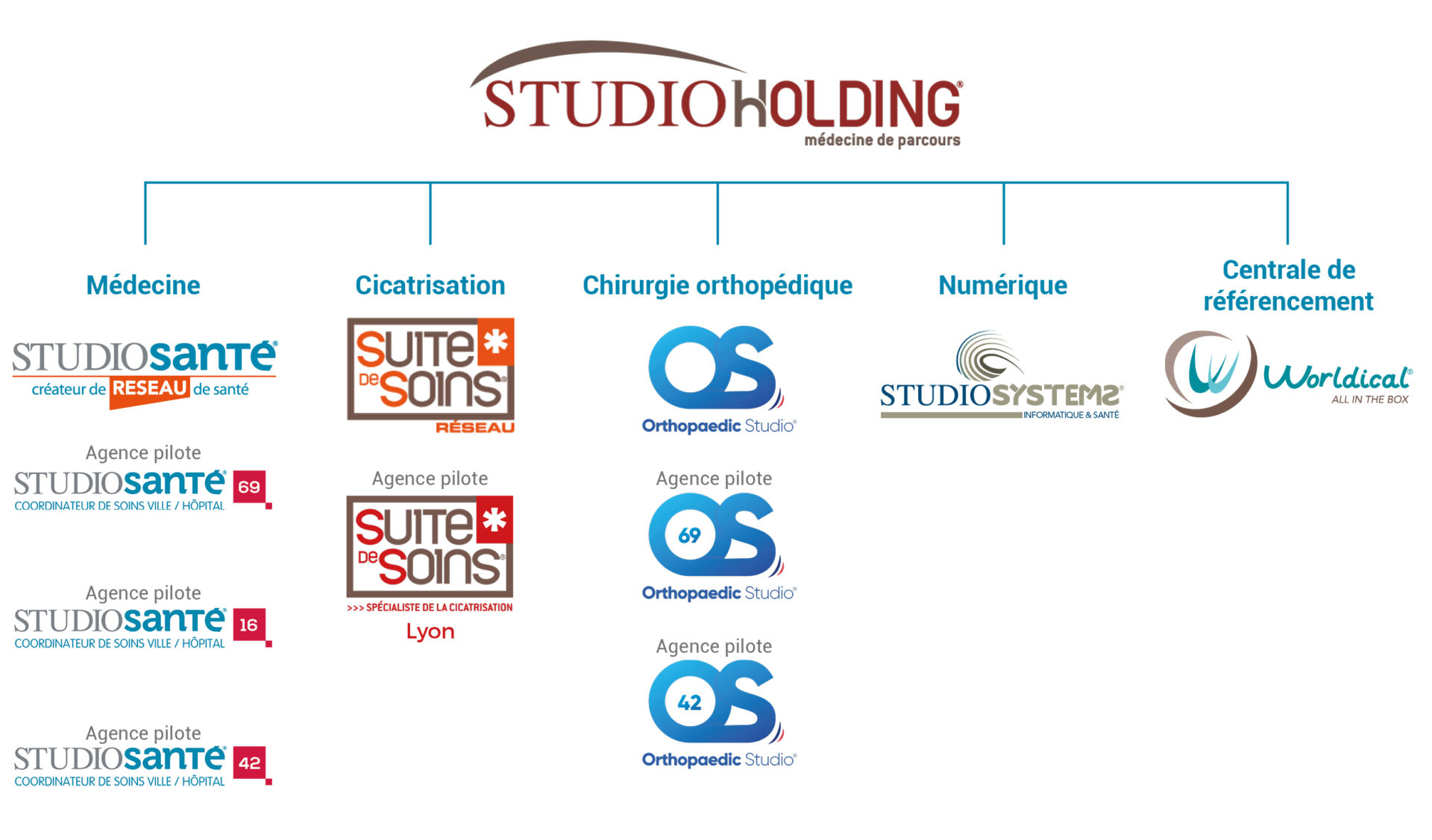 organigramme site
