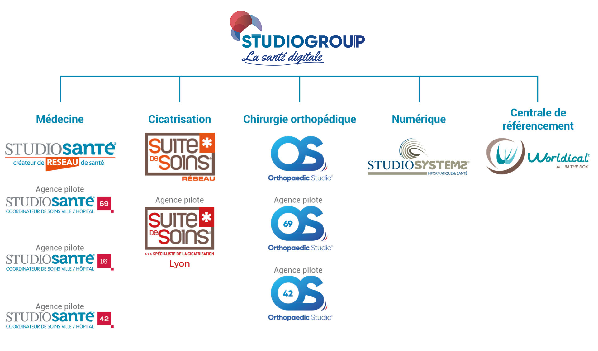 organigramme studiogroup