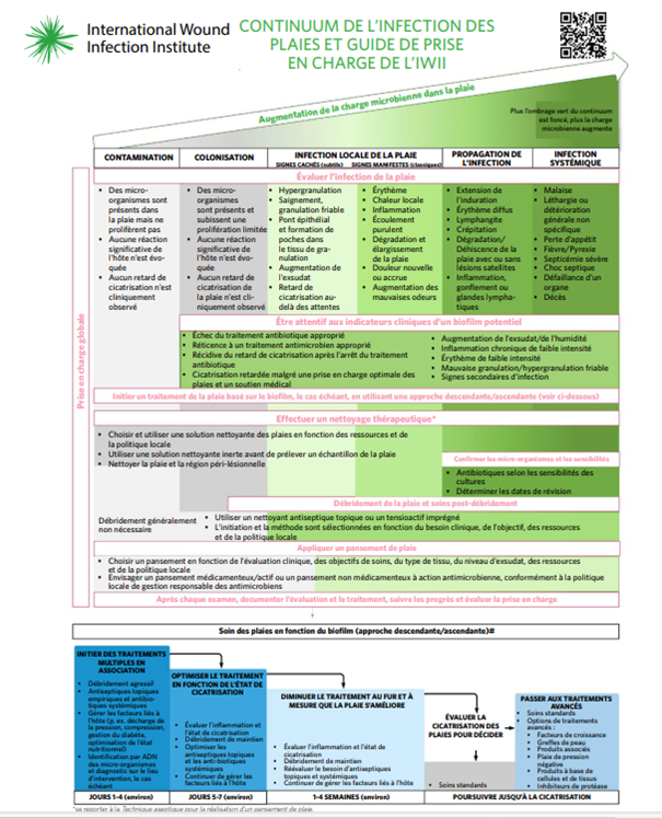 continuum de l'infection des plaies