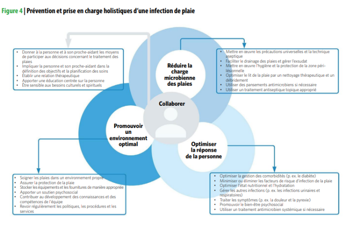 prévention et prise en charge de l'infection des plaies